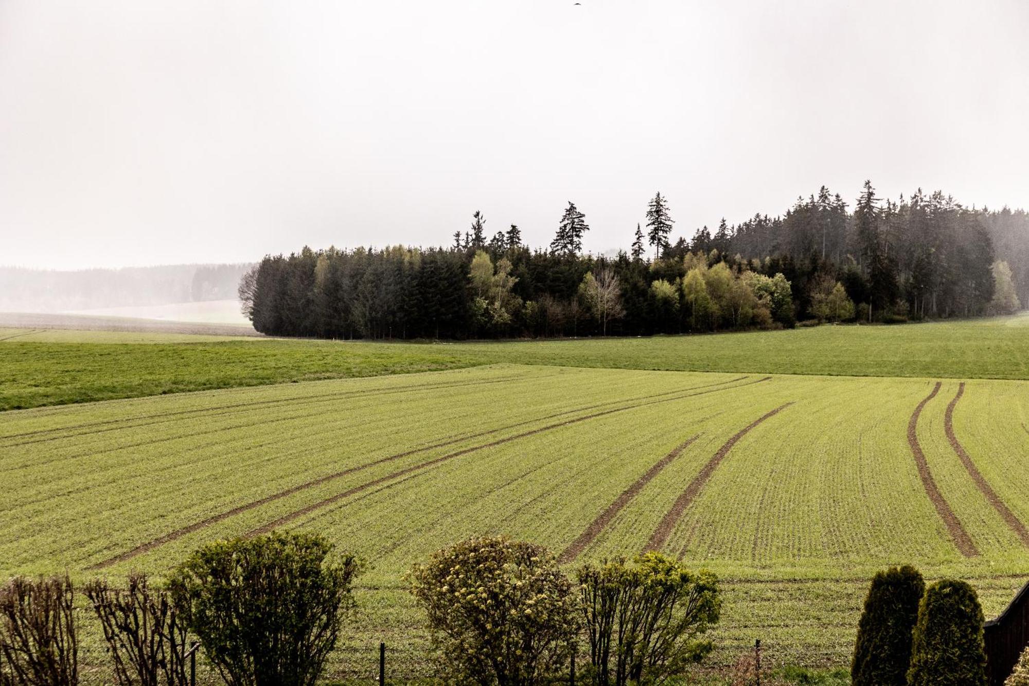 Ferienwohnung Fichtelblick Schonwald  Exteriér fotografie